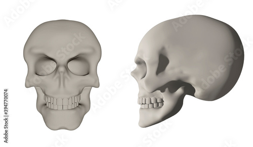 Set of Human Skulls Isolated on White Background.