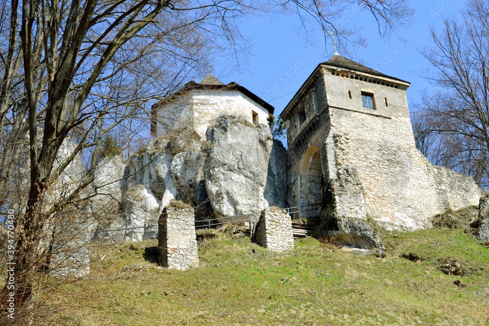 Zamek w Ojcowie – ruiny zamku na szlaku Orlich Gniazd, Ojcowski Park Narodowy - obrazy, fototapety, plakaty 
