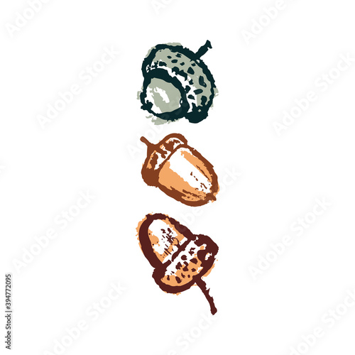 and drawing abstract elements of the autumn season. Warm colors and stylish compositions. Autumn mood, cozy autumn and minimal design. Vector image of acorns