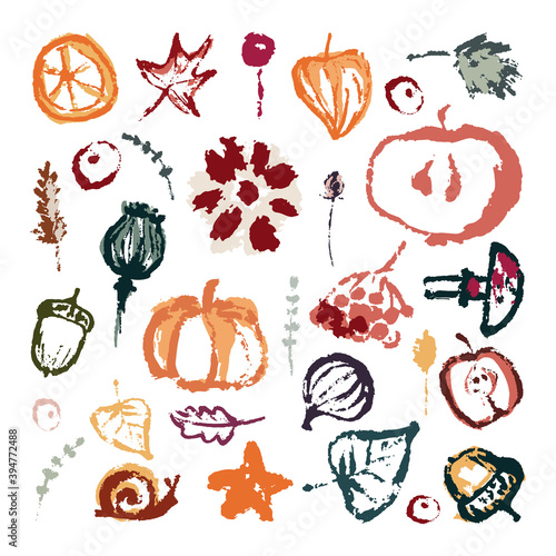 Hand drawing abstract elements of the autumn season. Warm colors, stylish compositions of leaves, mushrooms, cones, berries. Autumn mood, cozy autumn and minimal design.