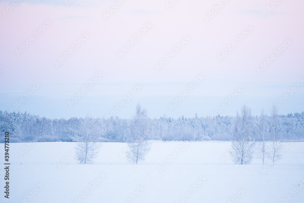 winter landscape with trees, snow and blue sky winter landscape with trees, snow and blue sky
