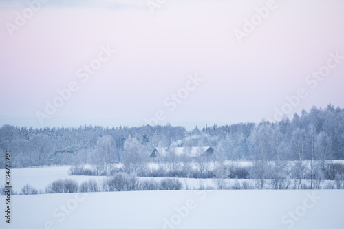 winter landscape with trees © Nauris