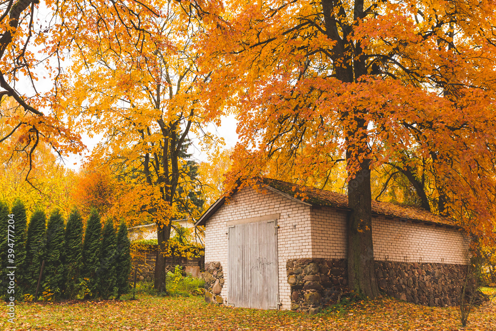 autumn trees covered old brick garage