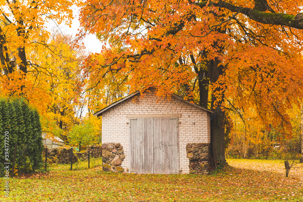 autumn trees covered old brick garage