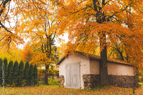autumn trees covered old brick garage © Nauris