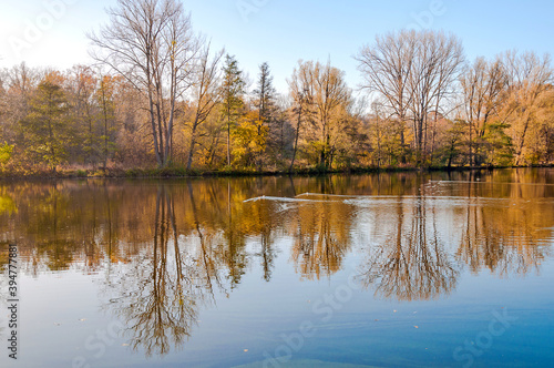 Ein Herbsttag im Hermann  -Löns-Park  Hannover © Emil Lazar