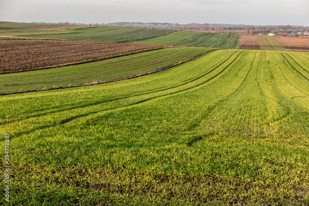 Landscape with visible farmland in the fall