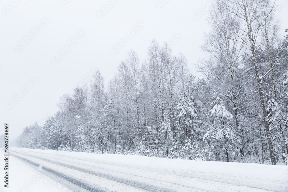 winter road in the forest winter road in the forest