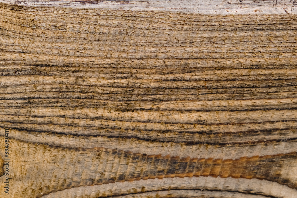Fototapeta premium Natural wooden background. Close-up.