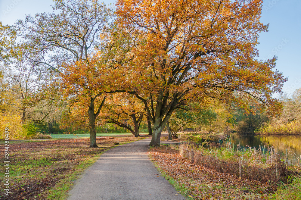 Ein Herbsttag im Hermann  -Löns-Park  Hannover