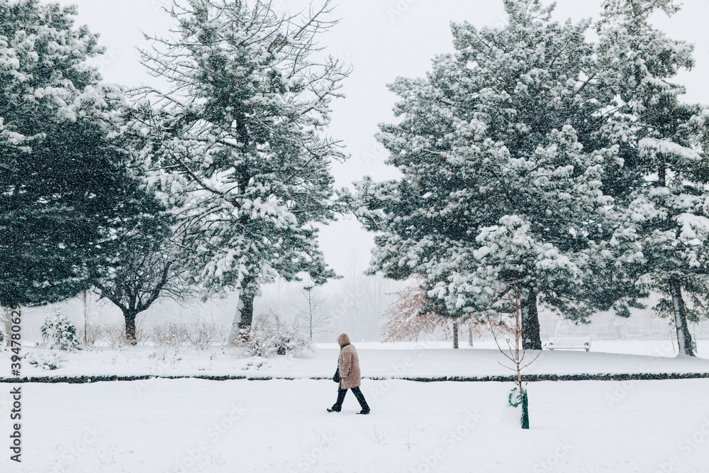 Fototapeta premium Man walking under snow in park. Heavy snowfall and snowstorm in Toronto, Ontario, Canada. Snow blizzard and bad weather winter condition. Beauty in nature. Seasonal conceptual landscape.