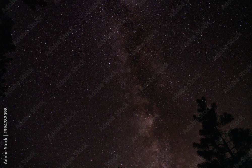 Milky Way sky camping in forest