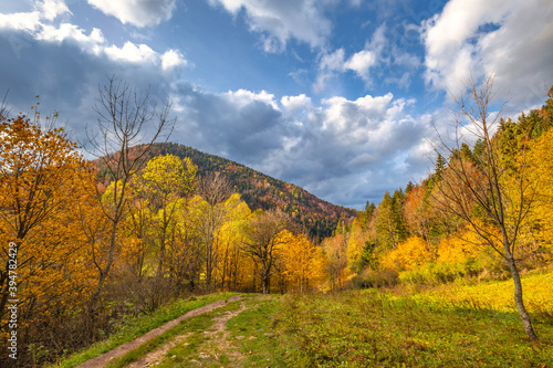 Mountain valley landscape in autumn. The Vratna valley in Mala Fatra national park, Slovakia, Europe.