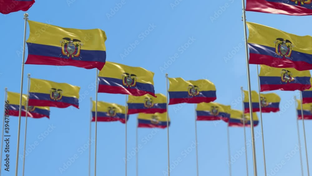 Ecuador Row Of National flags Walk Throw Animation Ecuador Row Of National flags Walk Throw Animation
