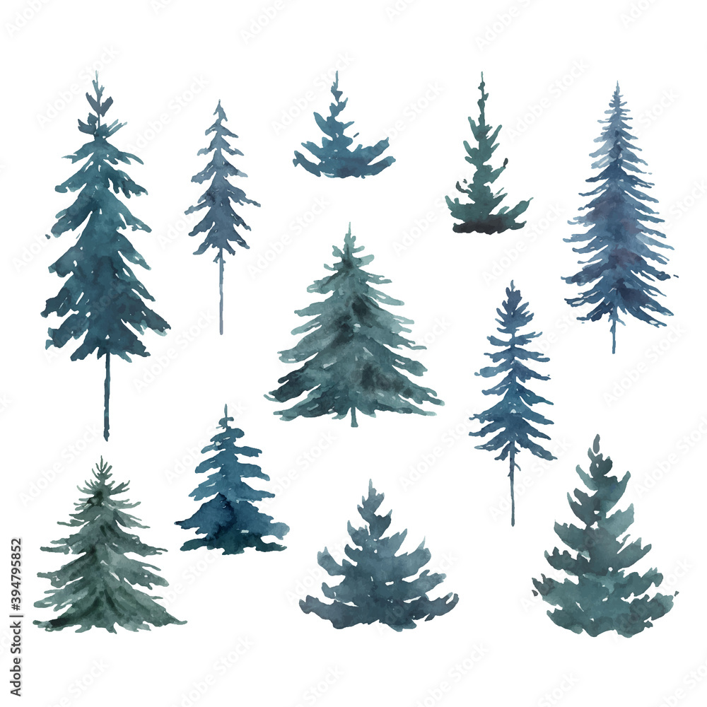 Watercolor vector set with blue fir trees. 