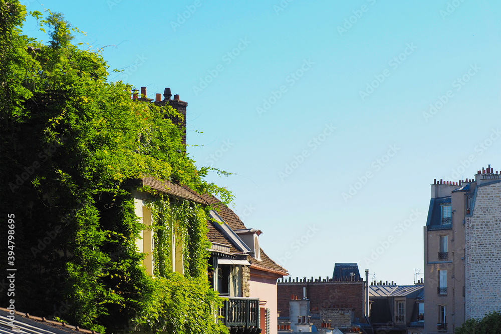 Houses entwined with green wild grapes, rooftops of Paris. Old street in Paris, France, Montmartre