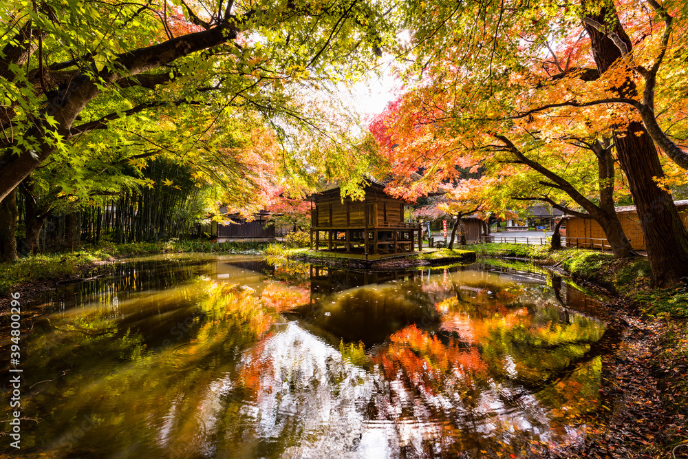 日本の世界遺産　岩手中尊寺紅葉で水鏡の弁財天堂