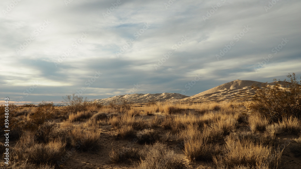Fototapeta premium Kelso Dunes- Mojave Desert California