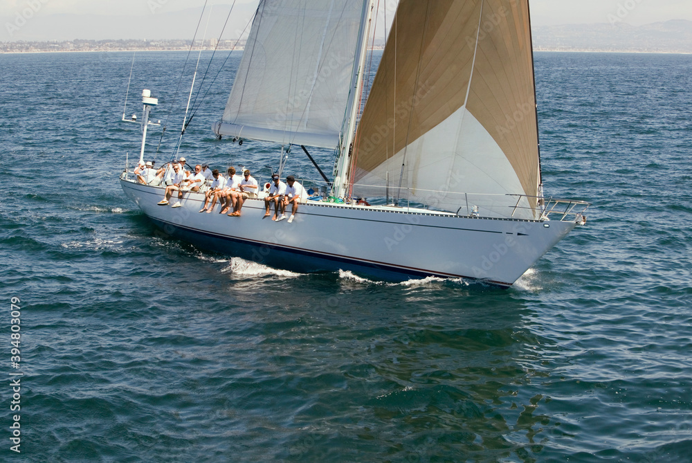Naklejka premium Sailing