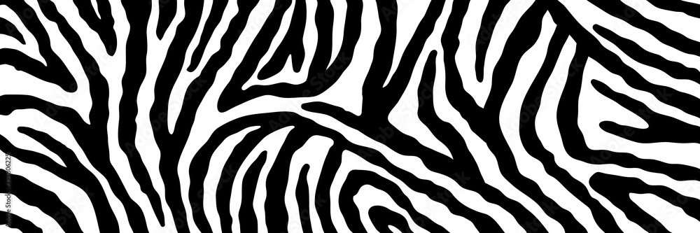 Vector abstract animalistic background. Freehand illustration of zebra skin print. Long horizontal banner. Vector abstract animalistic background. Freehand illustration of zebra skin print. Long horizontal banner.