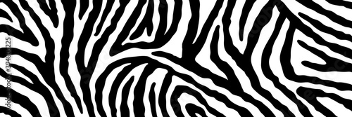 Vector abstract animalistic background. Freehand illustration of zebra skin print. Long horizontal banner.