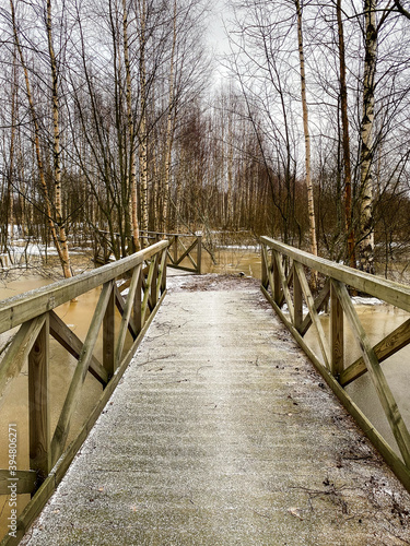Frosty wooden bridge covered with white snowflakes over the frozen river and among tall birch trees in natural park of Pori, Finland, Europe. Cold winter snowy landscape, winterland. © Izabela