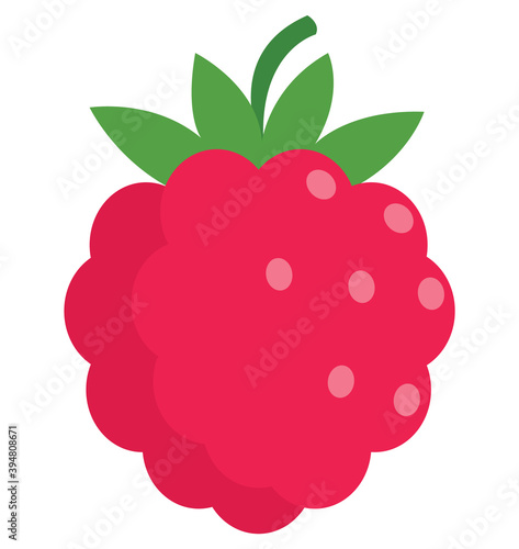 Raspberry and blackberry in flat cartoon simple style isolated on white
