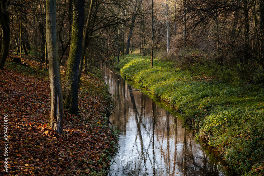 Water canal in castle park in sunny autumn day, picturesque stream in the garden, Idyllic landscape, Veltrusy chateau, Central Bohemia, Czech republic Water canal in castle park in sunny autumn day, picturesque stream in the garden, Idyllic landscape, Veltrusy chateau, Central Bohemia, Czech republic