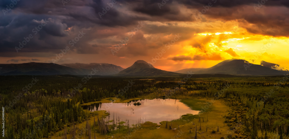 Peaceful Panoramic View of Pond and Marshland, surrounded by Forest and Mountains in Canadian Nature. Sunset Sky. Aerial Drone Shot. West of Whitehorse, East of Haines Junction, Yukon, Canada.