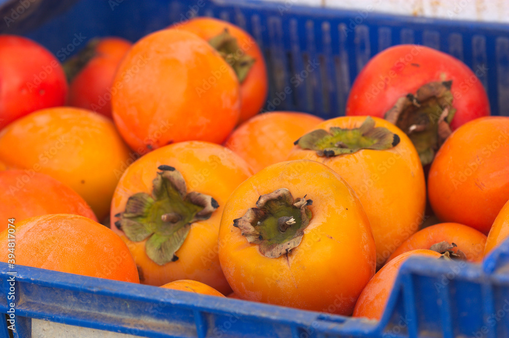 Fruit crate with freshly picked persimmons
