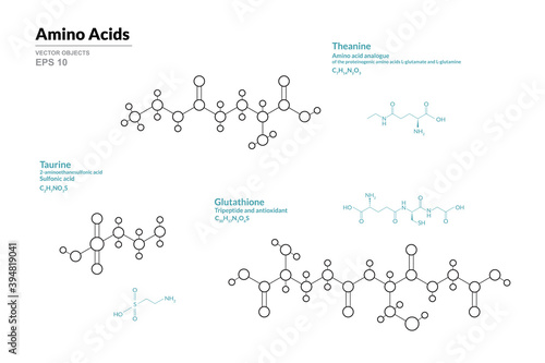 Amino Acid. Theanine, Taurine, Glutathione. Structural Chemical Formula and Line Model of Molecule. Vector Illustration photo