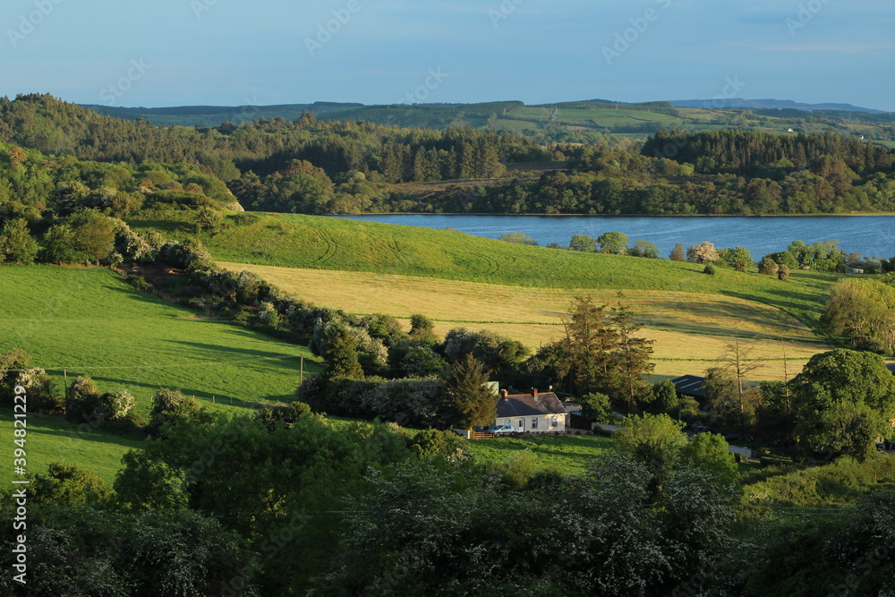 Summer evening scene featuring farm cottage situated amongst tree-lined fields of meadow and pasture at shores of Lough Gill, County Leitrim, Ireland