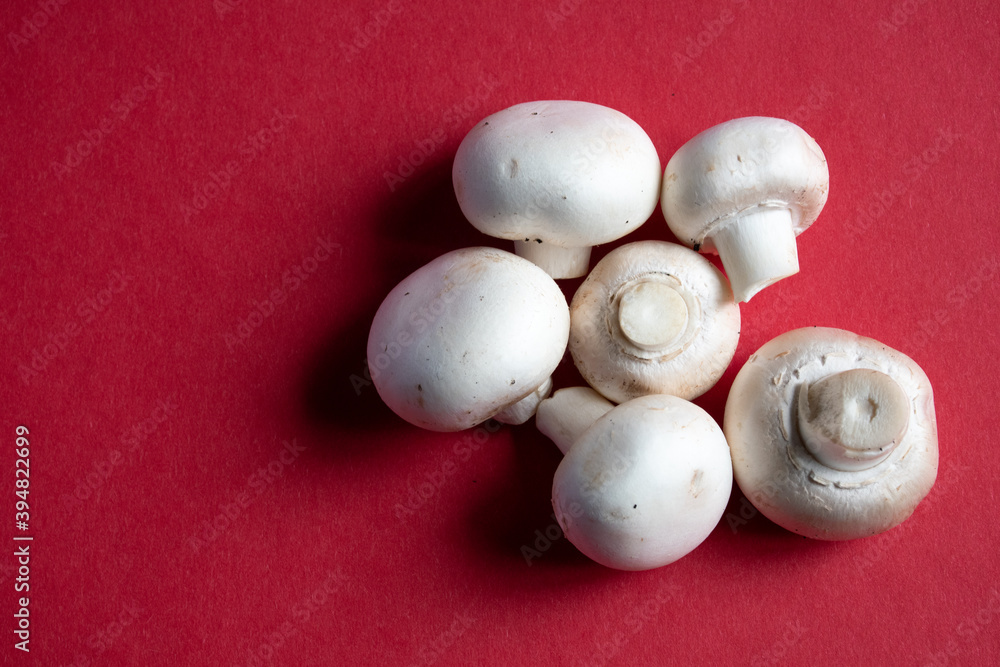 White button mushrooms on a plain red background White button mushrooms on a plain red background