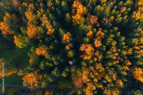 Autumn forest view from copter. Fall nature © photopixel