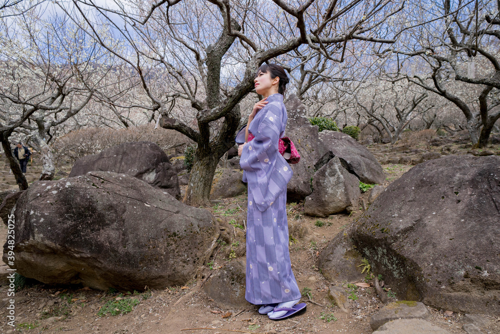 Naklejka premium 着物を着ている女性