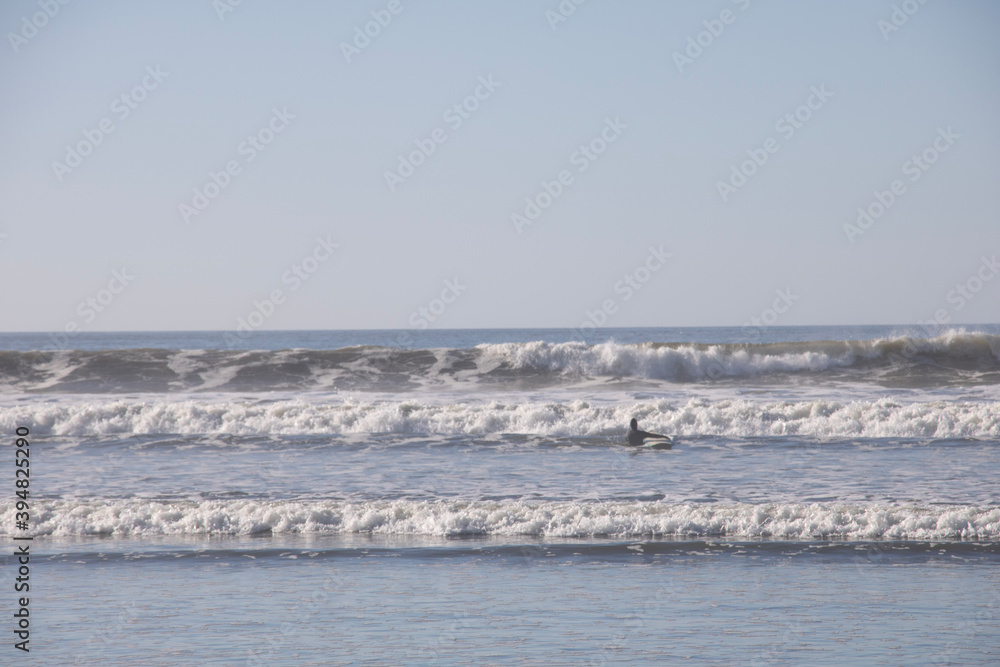 seagulls on the sea