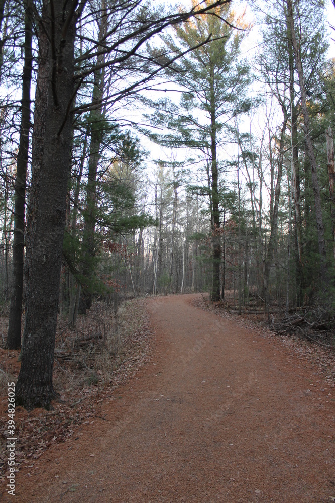 path in the woods path in the woods