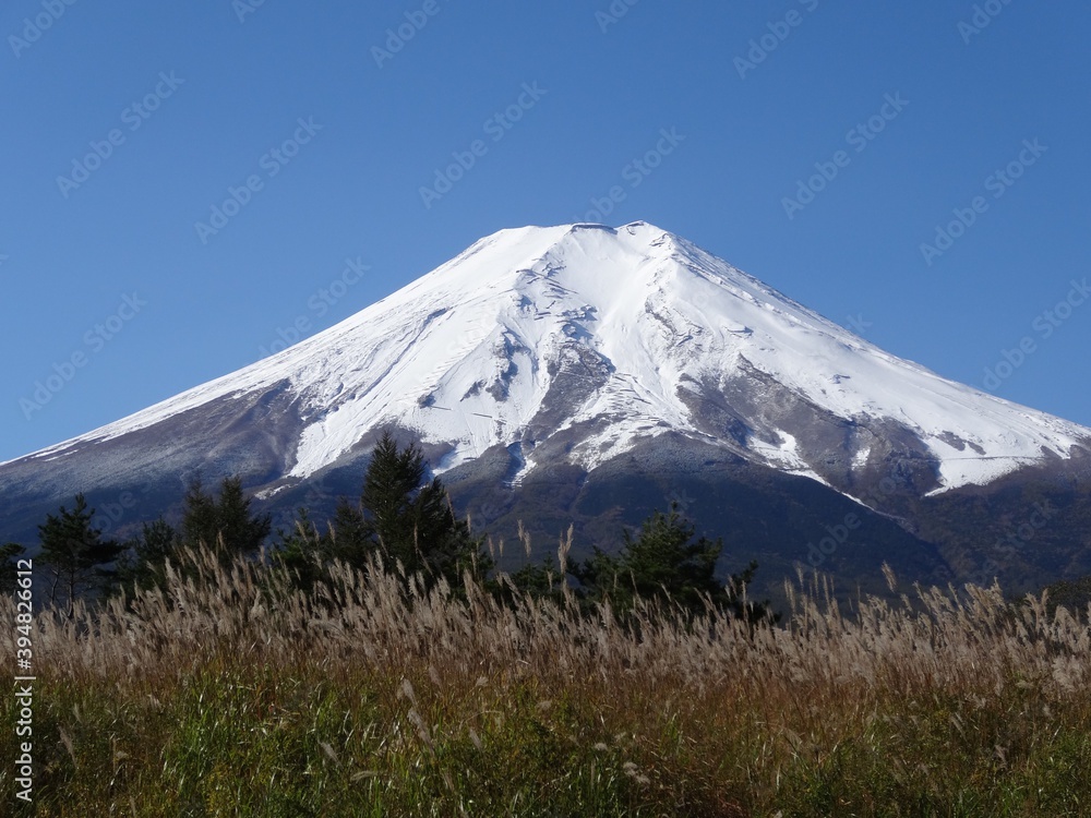 Fototapeta premium 富士山