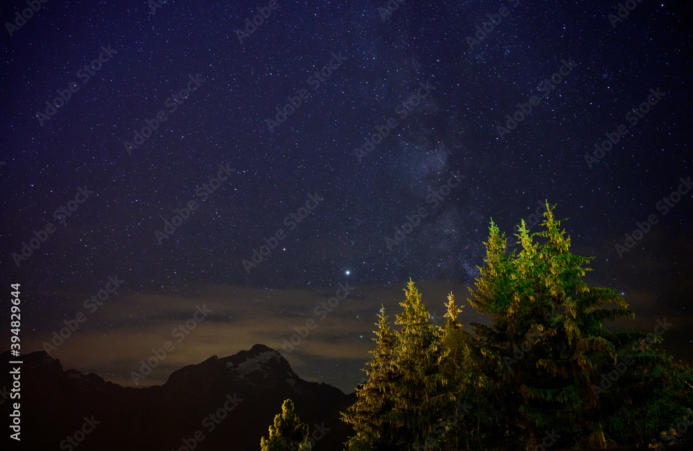 Naklejka premium Evergreen fir tree with cones, peaks of French Alps mountains and starry sky at night on background
