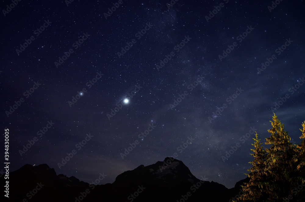 Evergreen fir tree with cones, peaks of French Alps mountains and starry sky at night on background