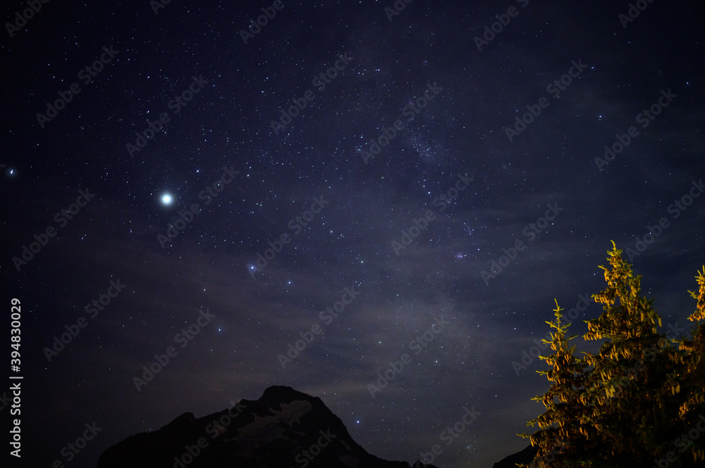 Evergreen fir tree with cones, peaks of French Alps mountains and starry sky at night on background