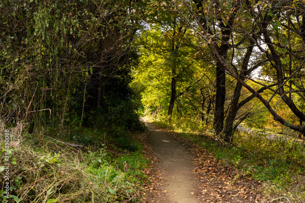 山道 山道