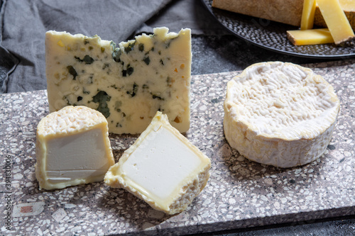 Cheese collection, French cheeses made from goat, cow and sheep melk: semi hard Roquefort blue cheese, soft Chabichou of Poitou and Camembert of Normandy photo