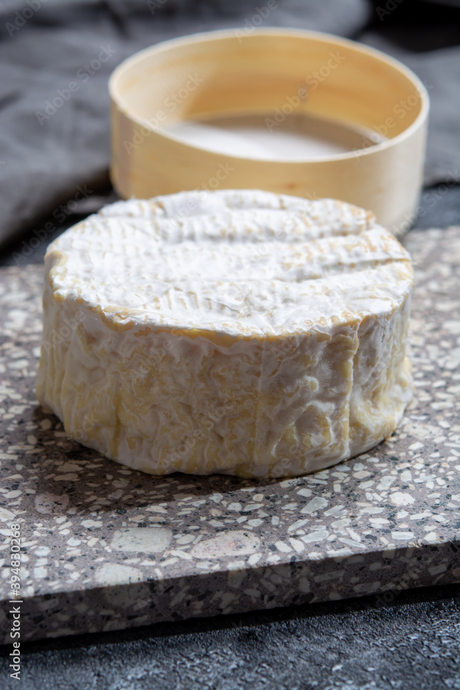 Cheese collection, French soft Camembert of Normandy cheese made from cow milk in region Normandy, France Cheese collection, French soft Camembert of Normandy cheese made from cow milk in region Normandy, France