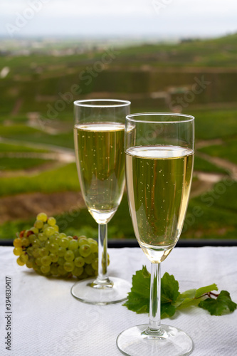 Tasting of french sparkling white wine with bubbles champagne on outdoor terrace with view on grand cru Champagne vineyards in Cramant, near Epernay, France