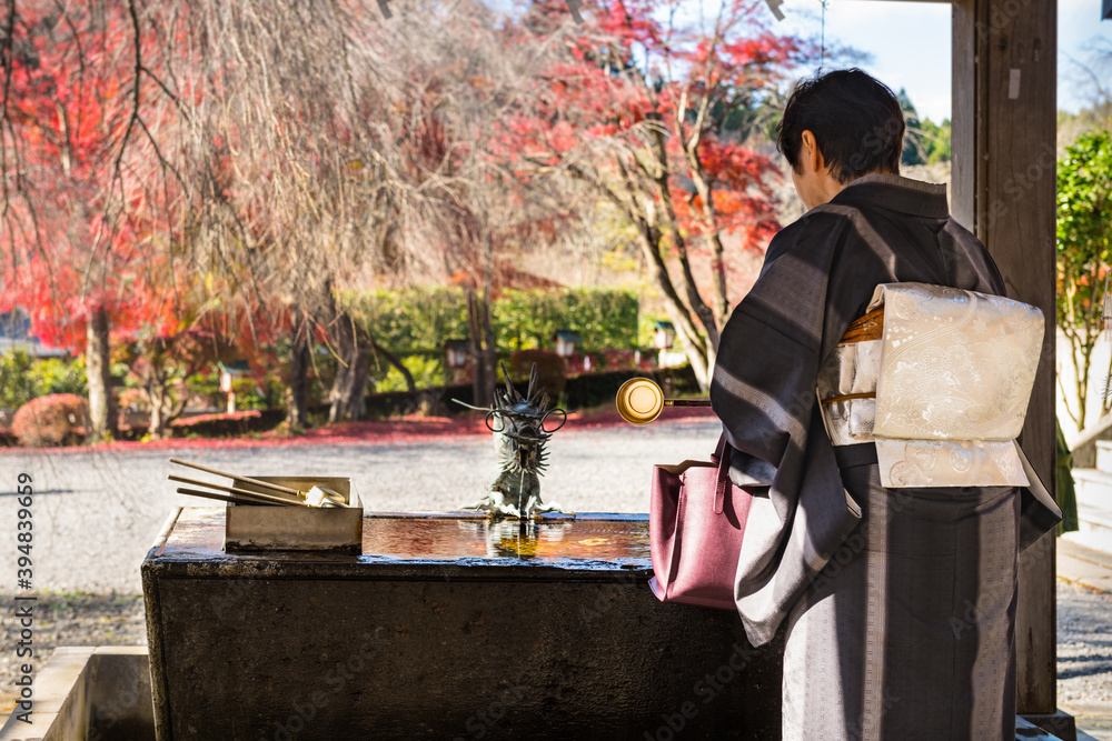 Obraz premium 日本 紅葉の南湖神社で手水を使う和服の女性