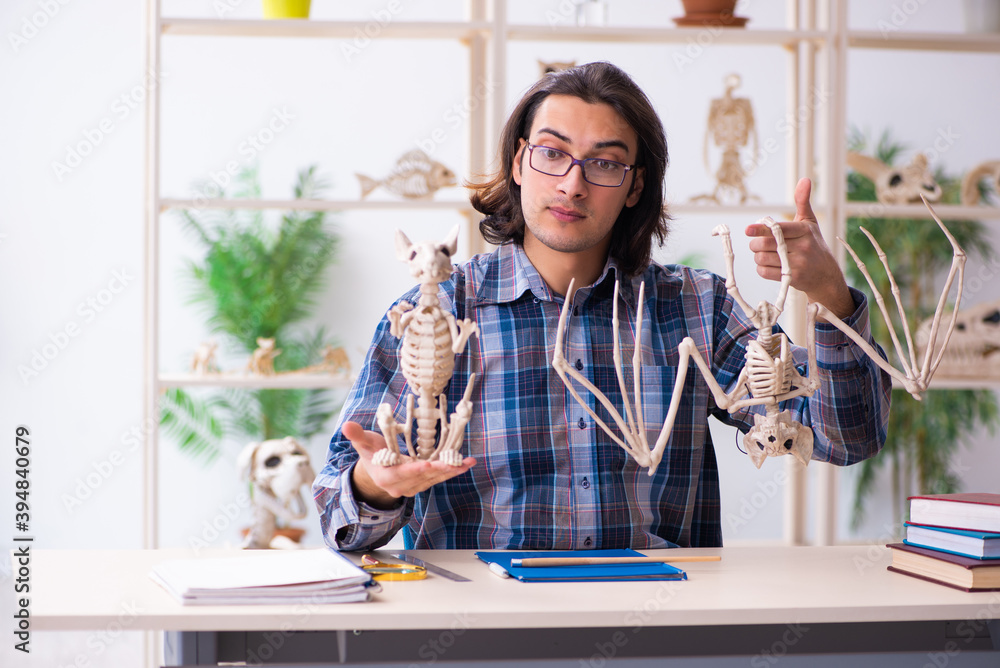 Young male teacher paleontologist in the classroom Young male teacher paleontologist in the classroom