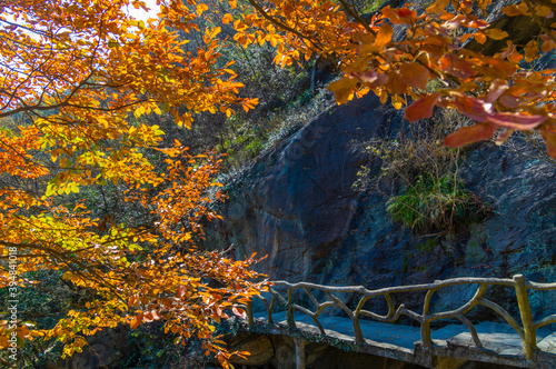 Late, autumn, scenery, of, Qingliangzhai, Scenic, Area, in, Wuhan, Hubei photo