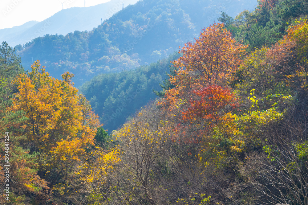 Late, autumn, scenery, of, Qingliangzhai, Scenic, Area, in, Wuhan, Hubei Late, autumn, scenery, of, Qingliangzhai, Scenic, Area, in, Wuhan, Hubei