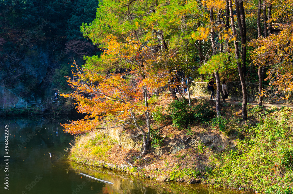 Late, autumn, scenery, of, Qingliangzhai, Scenic, Area, in, Wuhan, Hubei Late, autumn, scenery, of, Qingliangzhai, Scenic, Area, in, Wuhan, Hubei